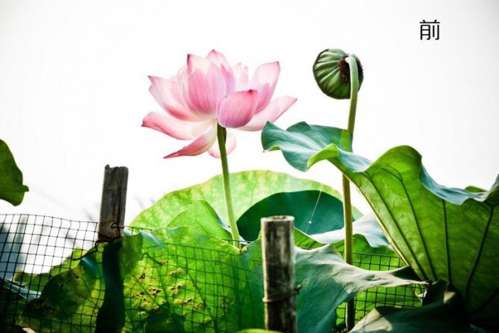 ���L(f��ng)Ч������PS�{(di��o)���ŵ��L(f��ng)��ĺɻ���Ƭ