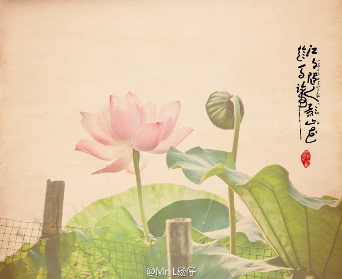 古風效果:用PS調出古典風格的荷花照片