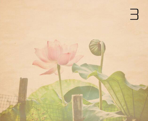 ���L(f��ng)Ч������PS�{(di��o)���ŵ��L(f��ng)��ĺɻ���Ƭ