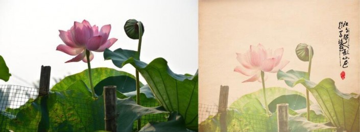 古風效果:用PS調出古典風格的荷花照片