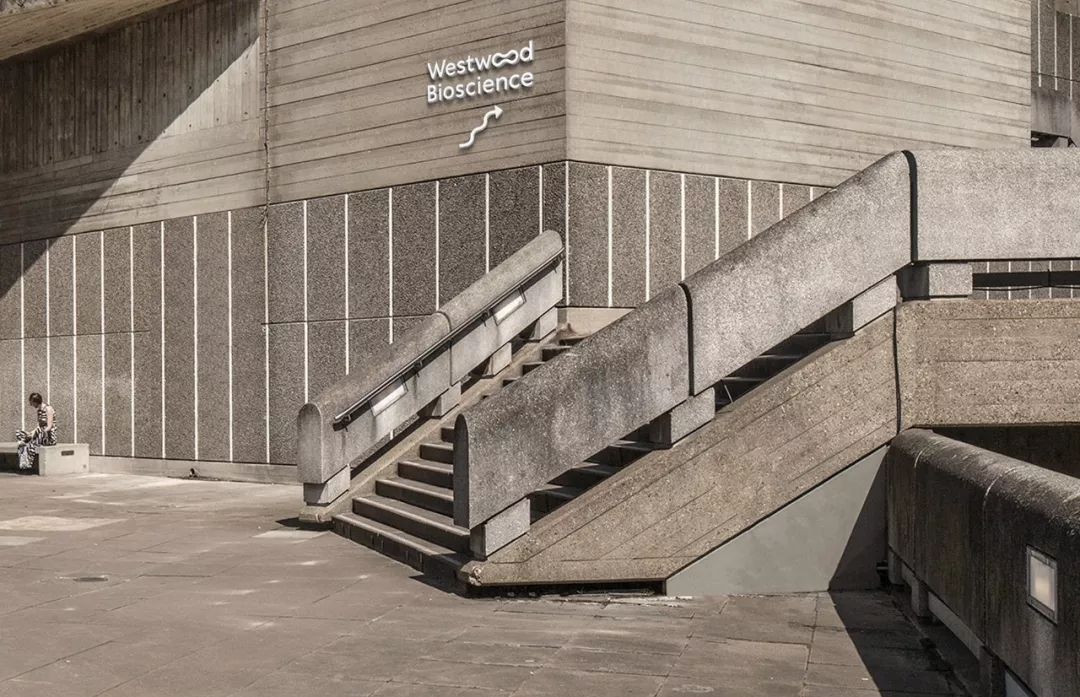 Westwood Bioscienceҕ�X�R(sh��)�e�O(sh��)Ӌ(j��)���p