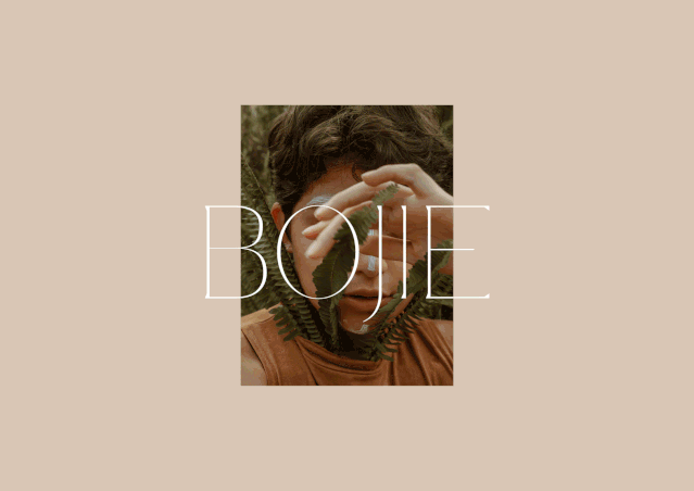 BOJIE���Ʒ�������OӋ���p