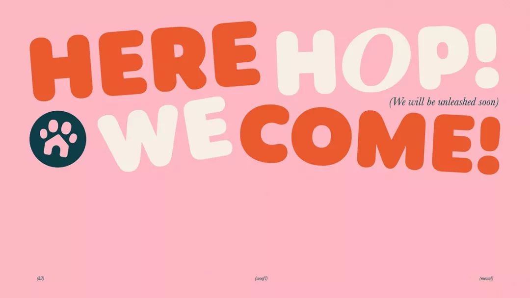 House of Paws寵物中心品牌視覺設(shè)計