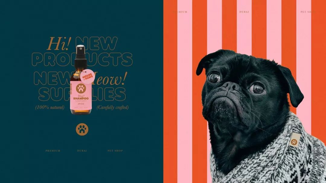 House of Paws寵物中心品牌視覺設(shè)計