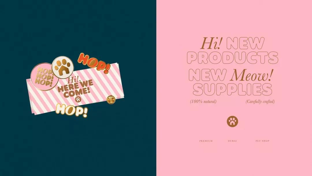 House of Paws寵物中心品牌視覺設(shè)計