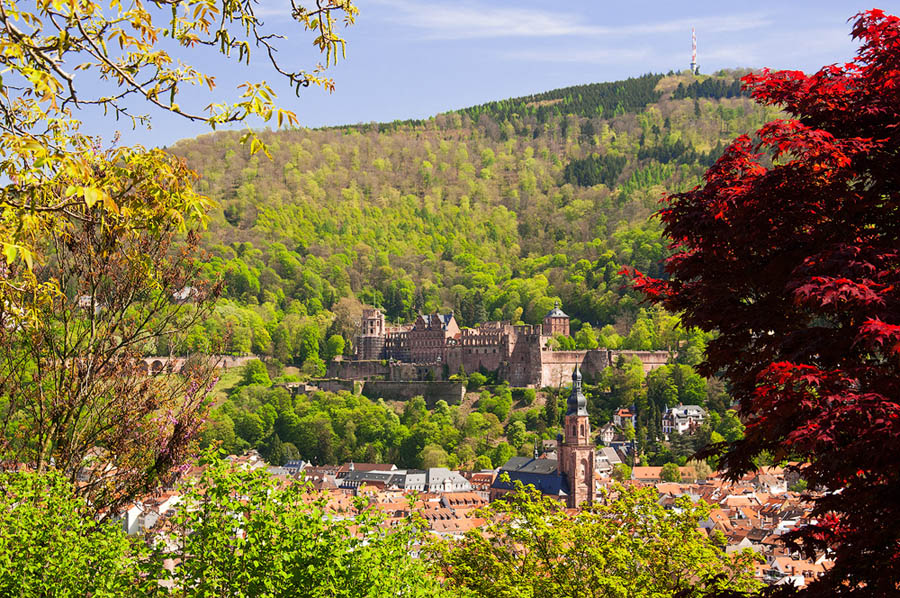 淺談主色調和輔助色在攝影后期中的應用