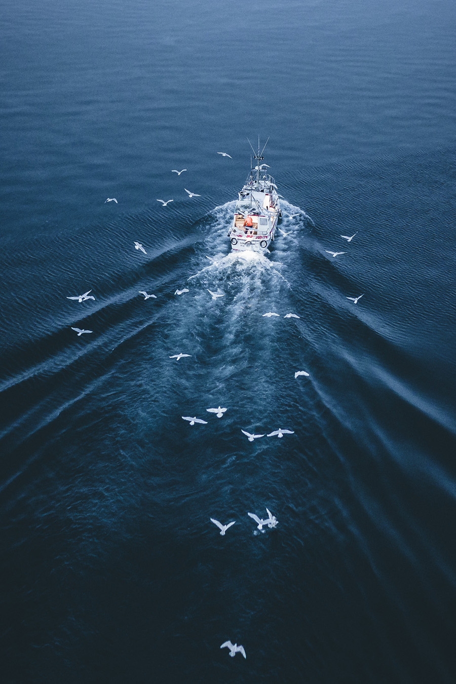 淺談主色調(diào)和輔助色在攝影后期中的應(yīng)用