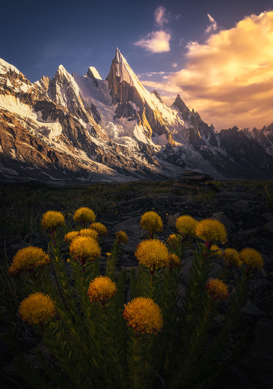 淺談主色調(diào)和輔助色在攝影后期中的應(yīng)用