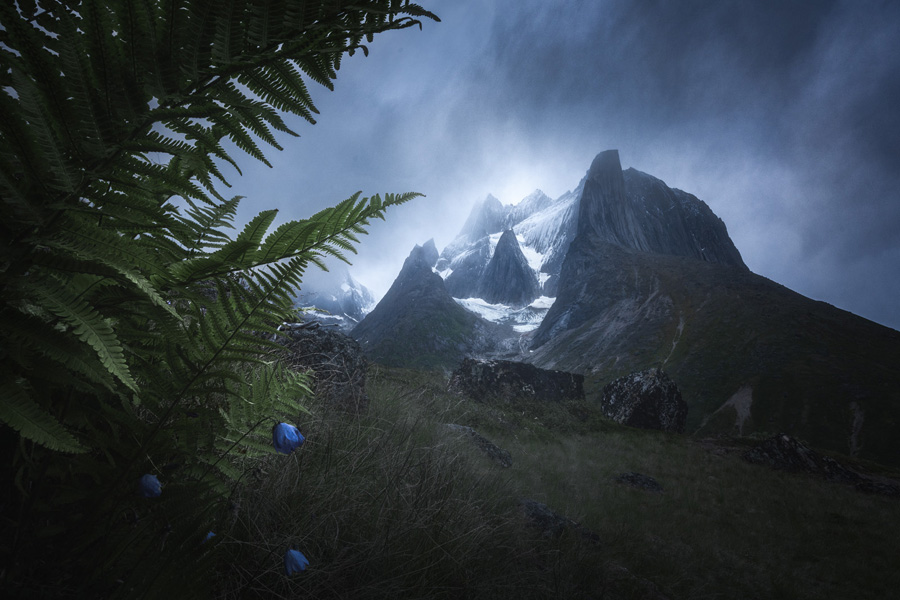 淺談主色調(diào)和輔助色在攝影后期中的應(yīng)用