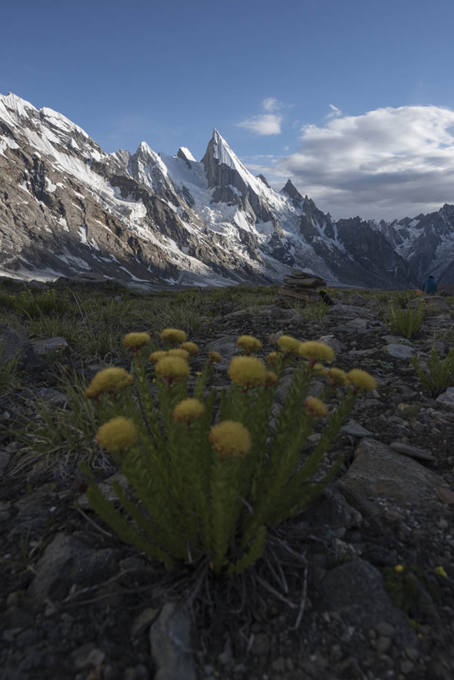 淺談主色調(diào)和輔助色在攝影后期中的應(yīng)用