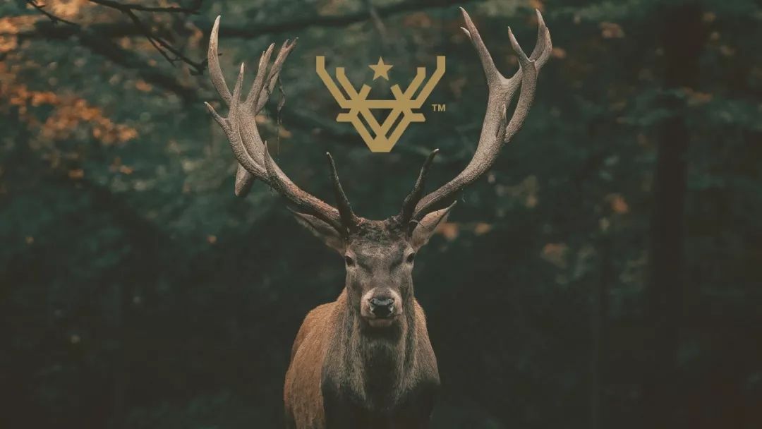 Deer Starơ��VIƷ���OӋ���p
