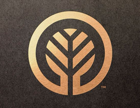 Adolfo Teixeira�OӋ����־��Ʒ�OӋ���p