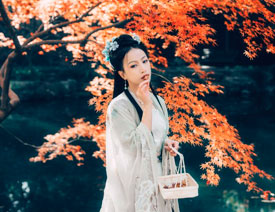 LR�{���＾������Ƭ�ŵ�ˇ�gЧ��