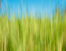 5���zӰС�����ĳ�����ˇ�g��Ʒ