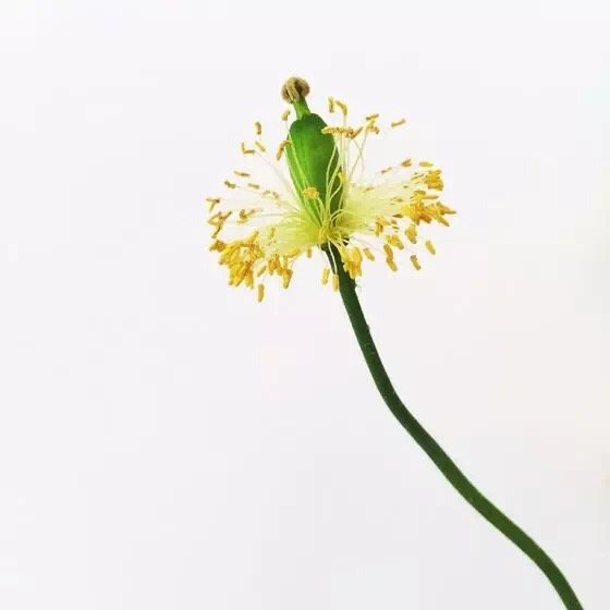 10個攝影技巧拍出高逼格的攝影作品