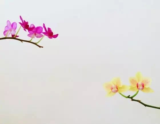 10個攝影技巧拍出高逼格的攝影作品