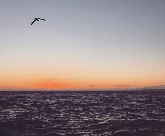 10個攝影技巧拍出高逼格的攝影作品