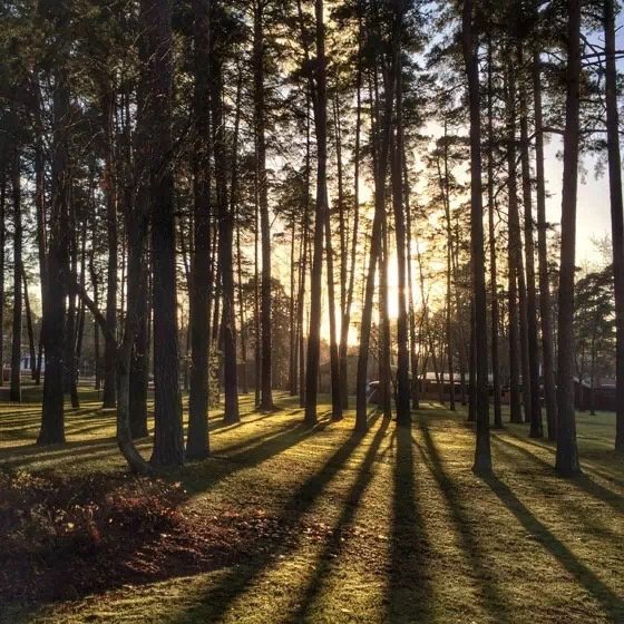 10個攝影技巧拍出高逼格的攝影作品