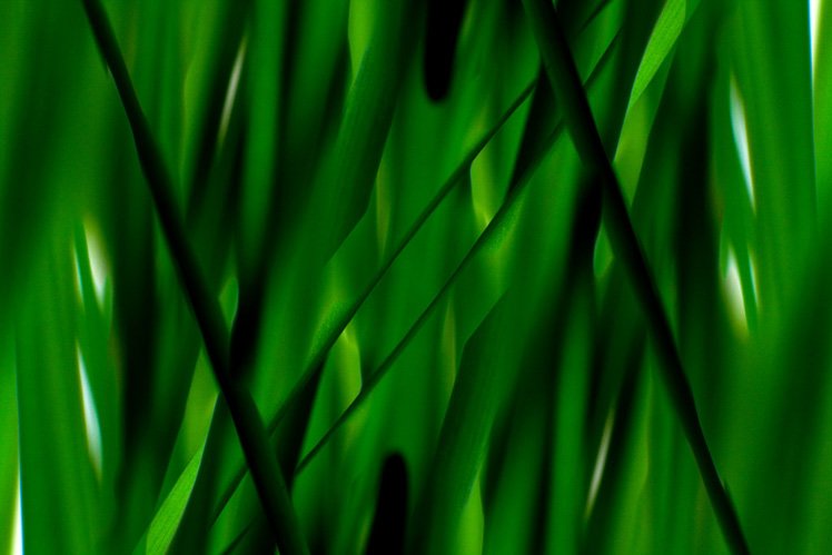 5個攝影小技巧拍出抽象藝術(shù)作品