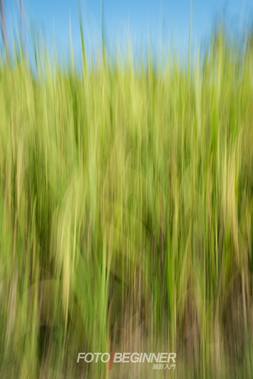 5個攝影小技巧拍出抽象藝術(shù)作品