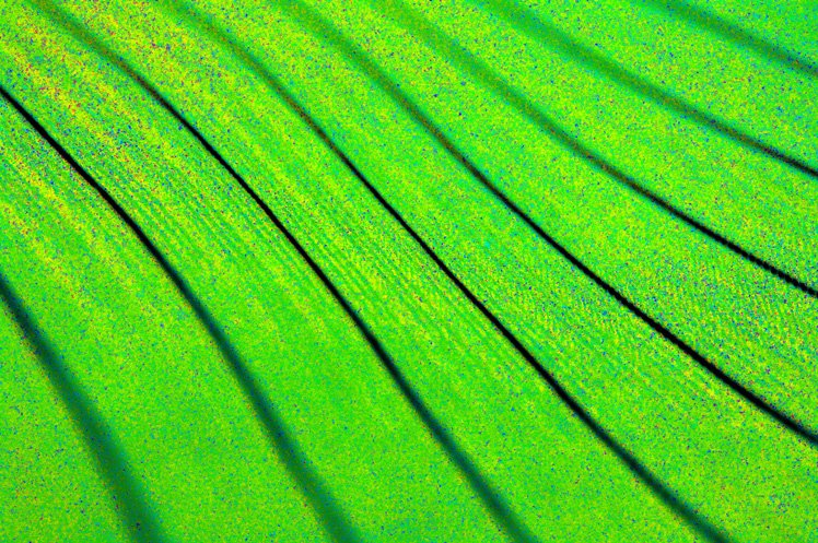 5個攝影小技巧拍出抽象藝術(shù)作品