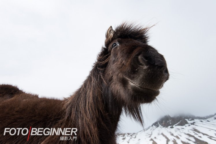 攝影師如何讓自己的作品增加趣味性