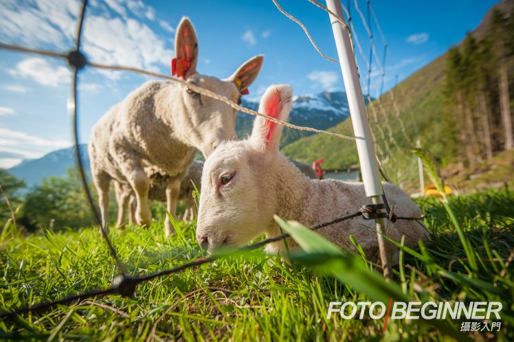 攝影師如何讓自己的作品增加趣味性