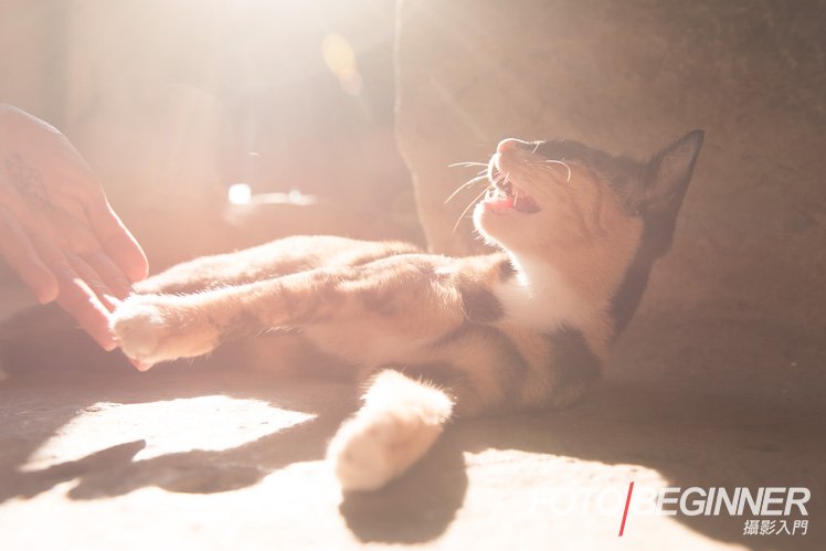 攝影師如何讓自己的作品增加趣味性