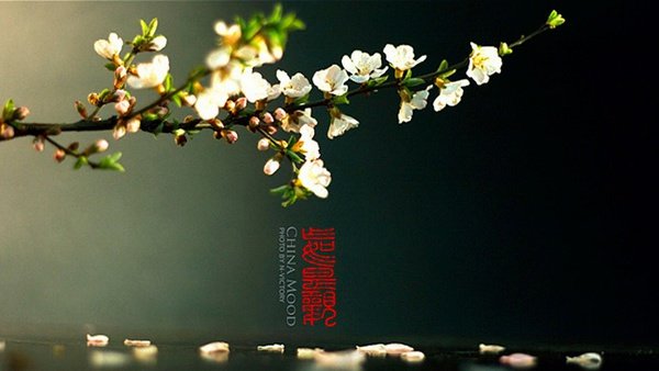 如何給后期攝影作品加上文字裝飾