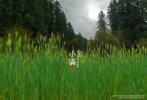 如何給后期攝影作品加上文字裝飾