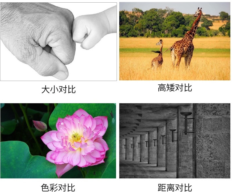 Ԕ��������ʽ�OӋ�еČ���ԭ�t