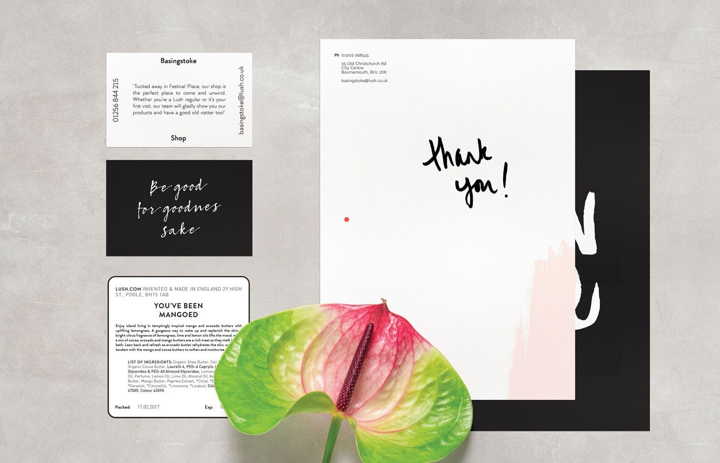 Lush Liquid��ԡƷ��ҕ�X�O(sh��)Ӌ(j��)���p