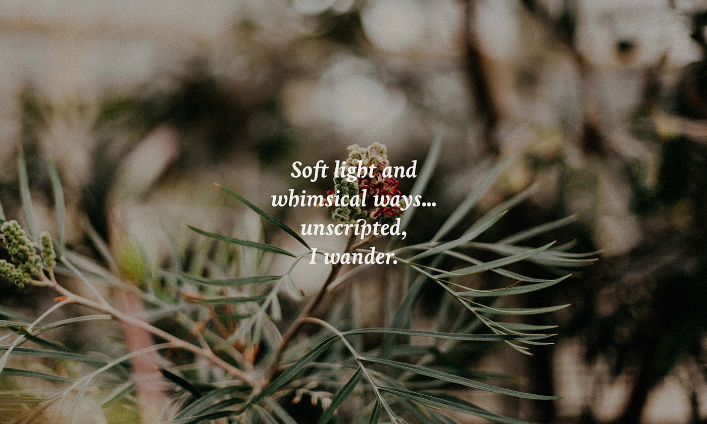 Cliffrose���ξƵ�VIƷ���OӋ���p