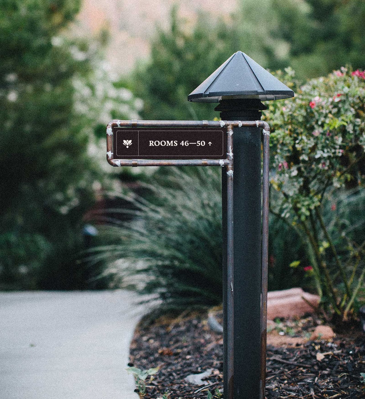 Cliffrose���ξƵ�VIƷ���OӋ���p