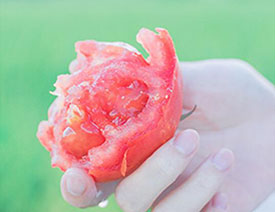 LR�{��С�����L������t����Ƭ