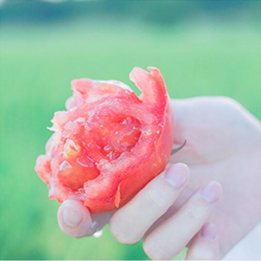 LR�{��С�����L������t����Ƭ