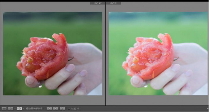 LR調出小清新風格的西紅柿照片