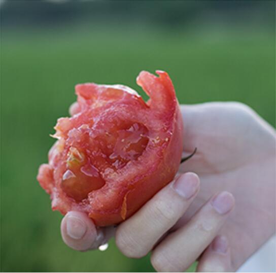 LR�{��С�����L������t����Ƭ