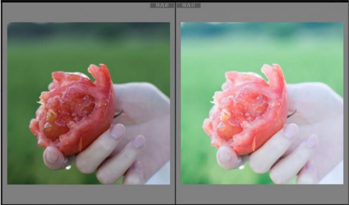 LR調出小清新風格的西紅柿照片
