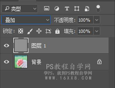 LR調出小清新風格的西紅柿照片