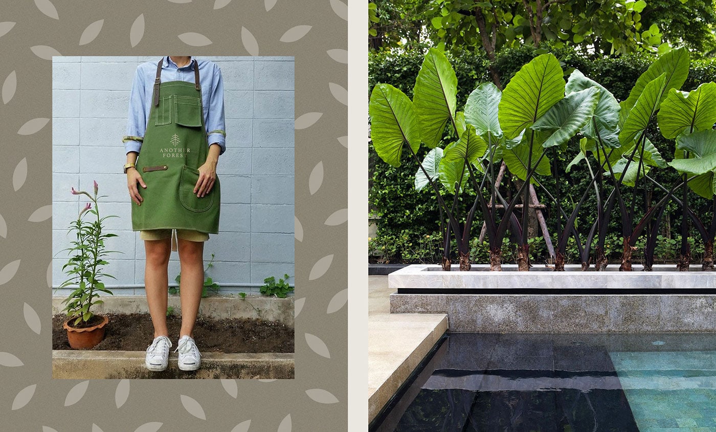 花園服務品牌視覺形象設計欣賞