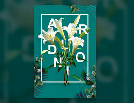 Photoshop�������䴩�����ֺ���̳�