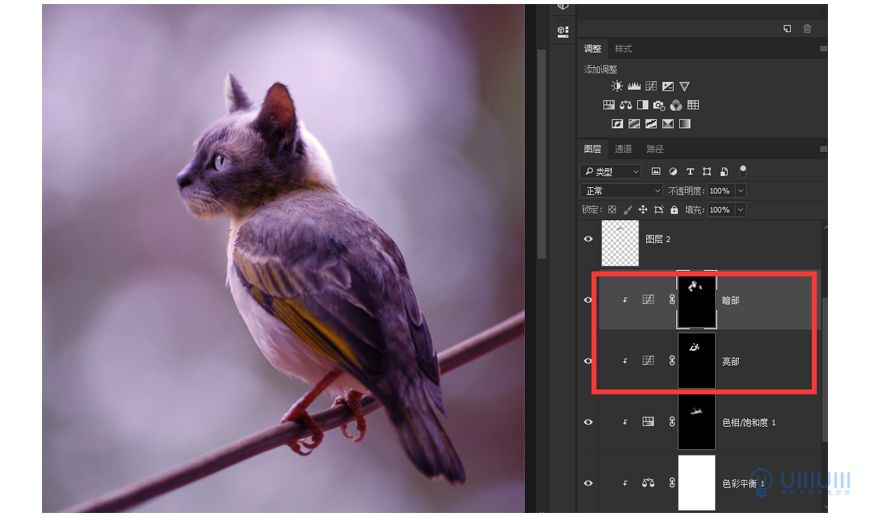 Photoshop創(chuàng)意的合成貓咪頭像的貓頭鷹