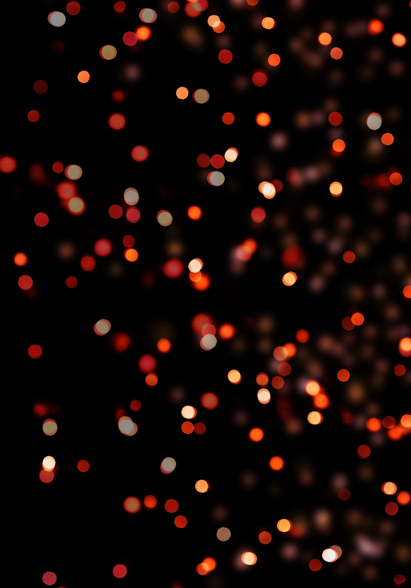 Photoshop創(chuàng)意的合成貓咪頭像的貓頭鷹