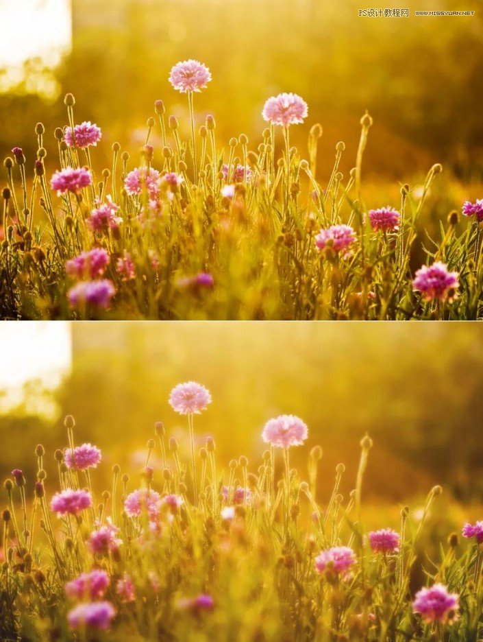 Photoshop快速制作數碼照片柔焦藝術效果