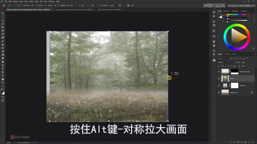 Photoshop����ϳ�ɭ���е�������B�\