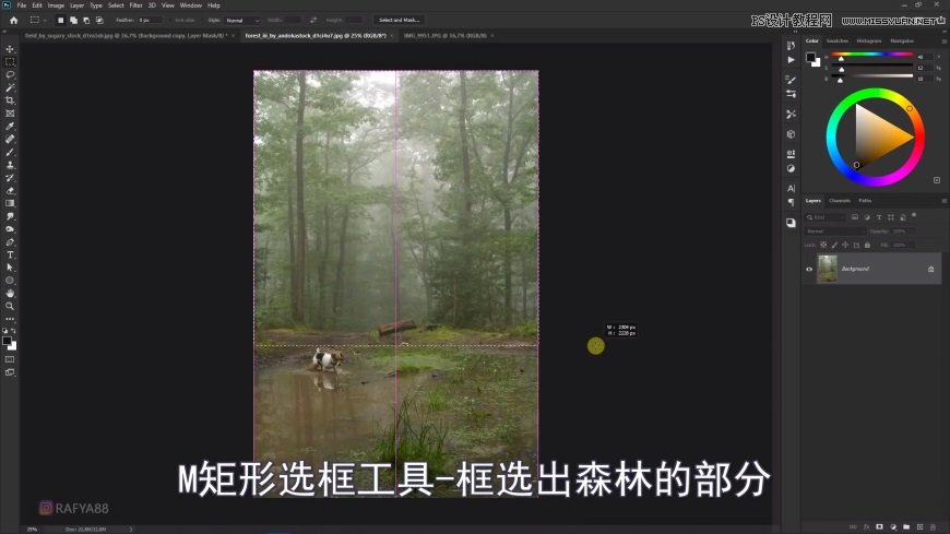 Photoshop����ϳ�ɭ���е�������B�\