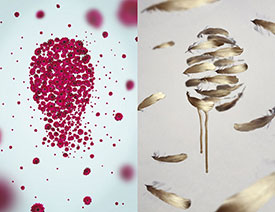 ���s�L���FACE IT�Ŀ�����OӋ���p