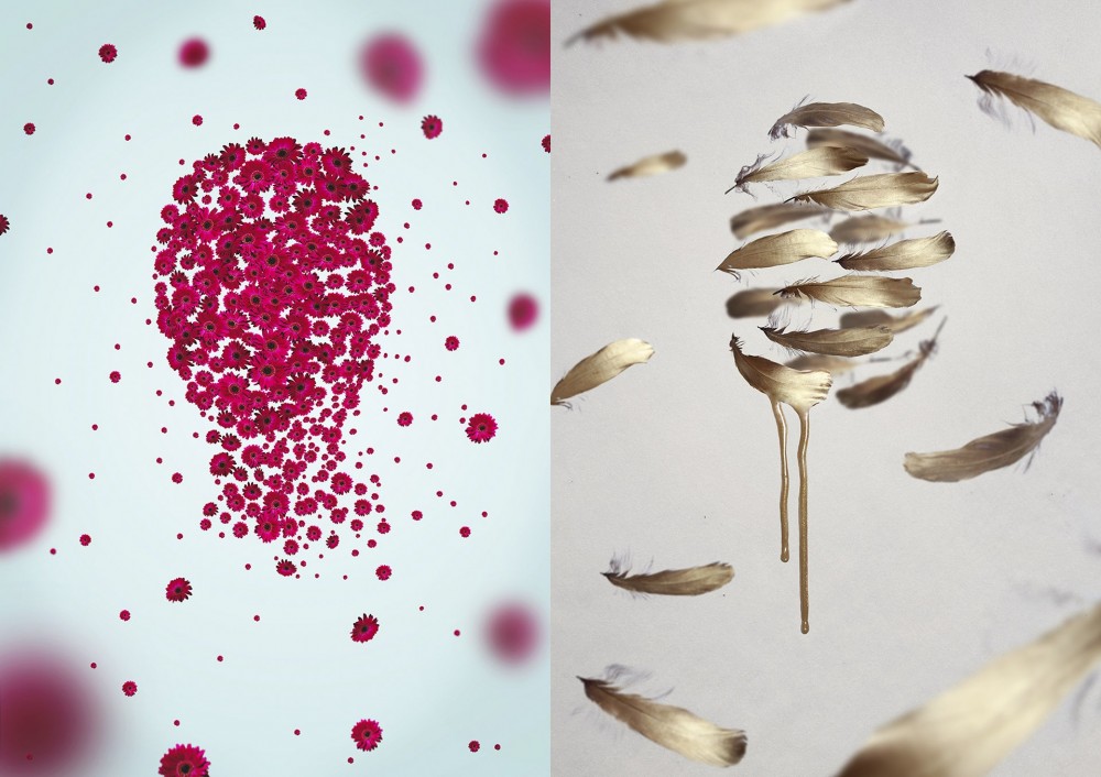 ���s�L���FACE IT�Ŀ�����OӋ���p