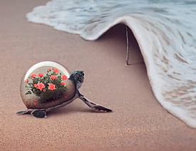 Photoshop�ϳɺ�߅�����ͱ�����ĺ��ˈ���